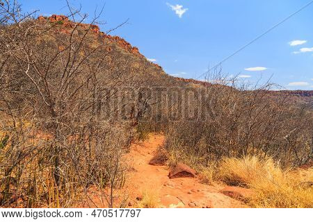View Towards The Waterberg Plateau. Beautiful African Landscape. Waterberg Plateau National Park, Na