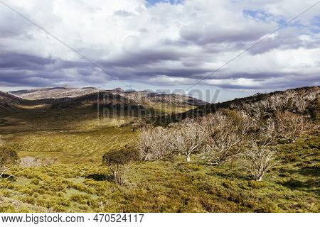 Snowy Mountains View On Cascade Hut Trail In Australia
