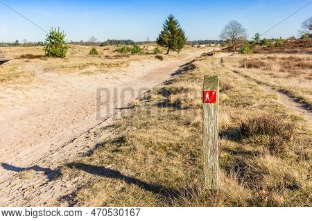 Red Sign Pointing To The Walking Direction In Drents Friese Wold National Park, Netherlands