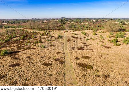View Over The Heather Fields Of Drents Friese Wold, Netherlands