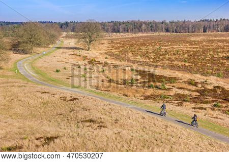 Couple On A Bicycle Riding Through The Heather Fields Of Drents Friese Wold, Netherlands