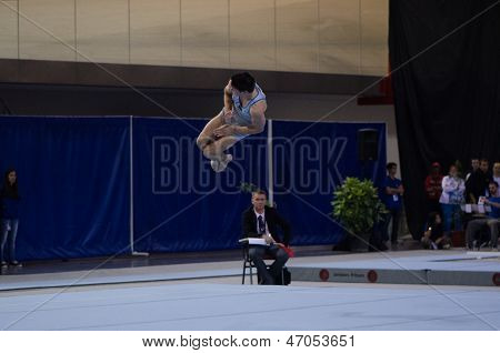 David Bishop (nzl)