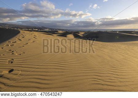 Golden Hour At Maspalomas Dunes