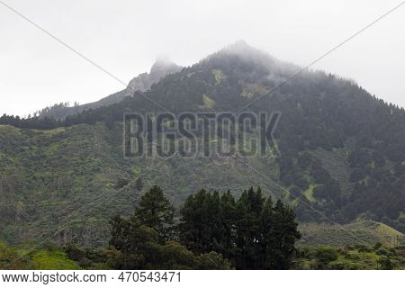 The Mountain's Reach: Above The Clouds And Below The Trees