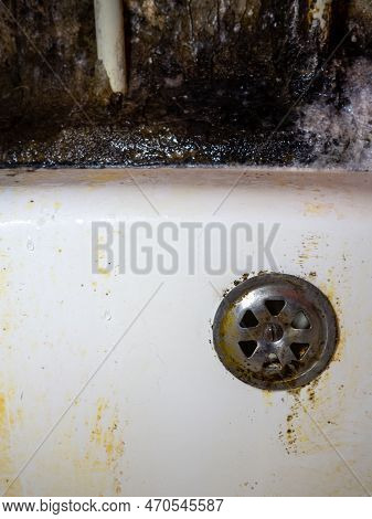 Bathroom Drain Dirty. Siphon Element. Plumbing. Mold On Bathroom Enamel. Black Dots Of Mold And Yell