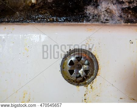 Bathroom Drain Dirty. Siphon Element. Plumbing. Mold On Bathroom Enamel. Black Dots Of Mold And Yell
