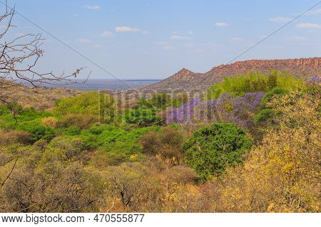 Waterberg Plateau National Park, Kalahari, Otjiwarongo, Namibia, Africa. Beautiful African Landscape