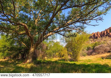 Waterberg Plateau National Park, Kalahari, Otjiwarongo, Namibia, Africa. Beautiful African Landscape