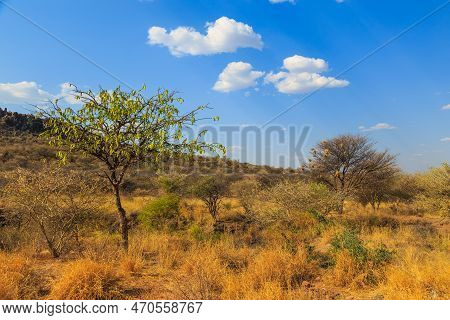 Waterberg Plateau National Park, Kalahari, Otjiwarongo, Namibia, Africa. Beautiful African Landscape