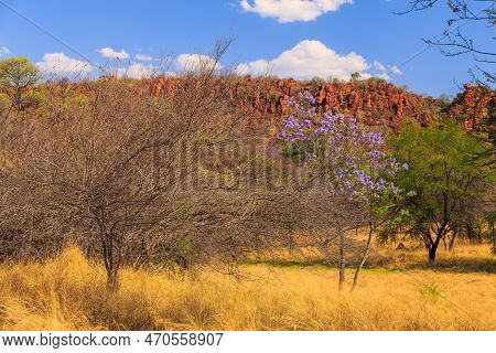 Waterberg Plateau National Park, Kalahari, Otjiwarongo, Namibia, Africa. Beautiful African Landscape