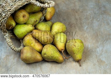 Pears In Basket On A Wooden Background. Fruit Harvest. Autumn Still Life. Pear Variety Bera Conferen