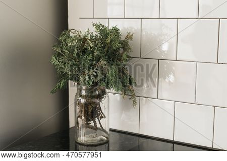 Green Branch Of Juniper In Glass Vase On Kitchen. Still Life Copy Space And Empty Space For Advertis