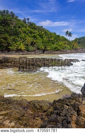 Rocks And Forest At Camboinha Beach