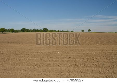 Campo arato