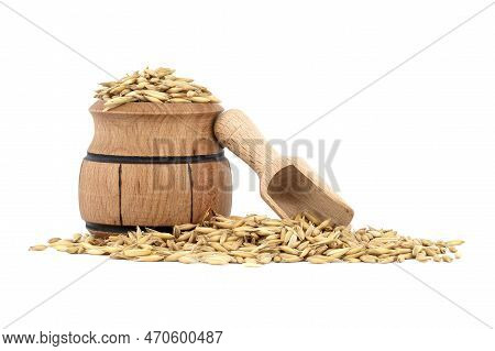 Heap Of Organic Oat Grains With Hulls Or Husks In Small Wooden Barrel Isolated On White Background. 
