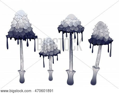 Set Of Artistically Drawn, Realistic Gray Mushrooms With Streaks On White Background. Cottagecore. M