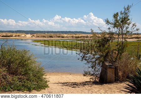 Panoramic Beach Access In South West Arcachon Bay In Atlantic French Coast In Lege Cap-ferret