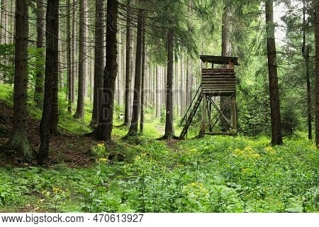 Hunters Lookout In Forest. Orava Region, Slovakia.