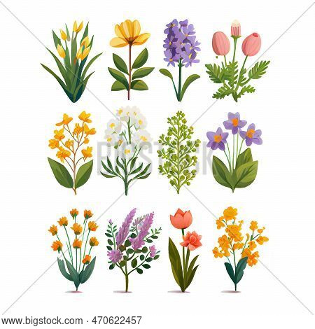 Set Vector Illustration Of Bloming Flowers Isolate Background International Women's Day And Spring F