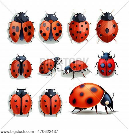 Set Vector Illustration Of Butterfly Isolate On White Background
