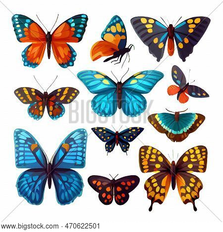 Set Vector Illustration Of Butterfly Isolate On White Background
