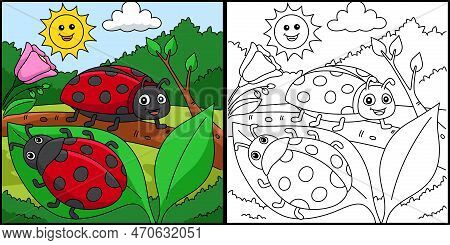 This Coloring Page Shows A Spring Two Ladybug. One Side Of This Illustration Is Colored And Serves A