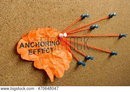 Paper Brain With Sign Anchoring Effect And Pins.