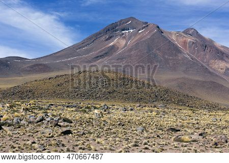 Landscape In Miscanti And Miniques National Park