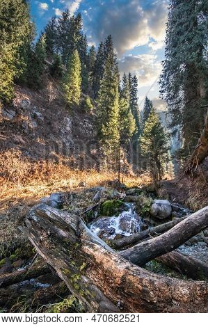 Bear Gorge In Big Almaty Gorge Of Almaty Mountains, Ile Alatau Parkland, Picturesque Nature Of Kazak