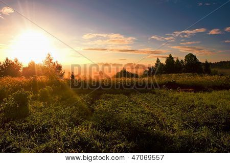 sunrise in the field