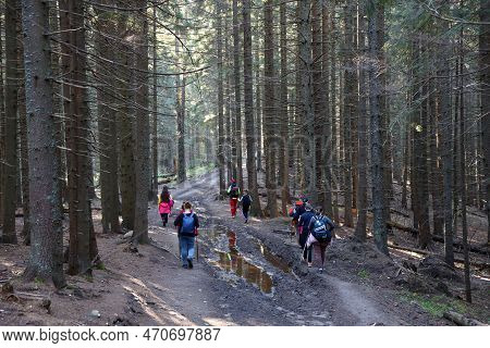 Carpathian Mountains, Ukraine - October 8, 2022 Mount Hoverla. Carpathians In Ukraine In Autumn. Tou