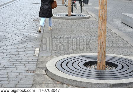 Trees Planted In A Large Paved Area Of The Pedestrian Zone Pavement Need To Breathe Roots And Theref