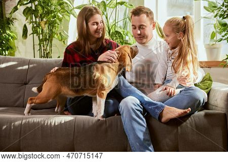 Lovely Young Family, Mother, Father And Daughter Sitting On Sofa, Playing With Dog In Living Roon On