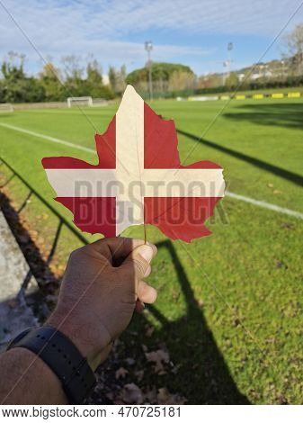 Hand Holding A Tree Leaf With The Flag Of Denmark
