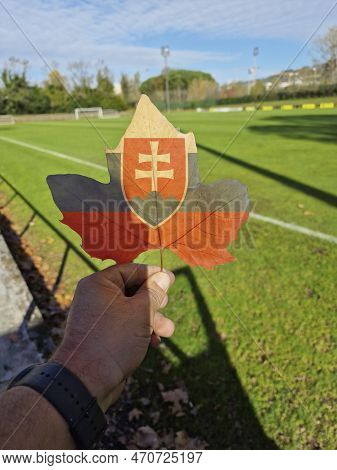 Hand Holding A Tree Leaf With The Flag Of Slovakia