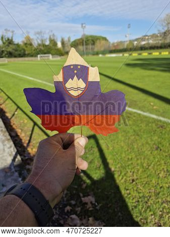 Hand Holding A Tree Leaf With The Flag Of Slovenia