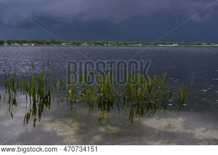 Dark Morning Skies Over Pickerel Plant And The Waters Of South Lake Conway Near Orlando Florida