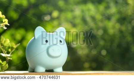 Piggy Bank On Green Nature Background. Saving Money For Future, Retirement Fund, Business Or Finance