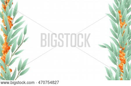 Branches Of A Sea Buckthorn Tree With Ripe Fruits In The Form Of A Frame On Both Sides. Garden Plant