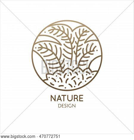 Tropical Plant Logo. Decoraitive Palm Tree In Linear Style. Round Outline Emblem. Vector Abstract Ba