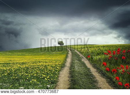 Very Close To The Nature, Have A Great Fun