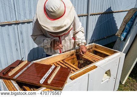 Winged Bee Slowly Flies To Beekeeper Collect Nectar On Private Apiary From Live Flowers, Apiary Cons