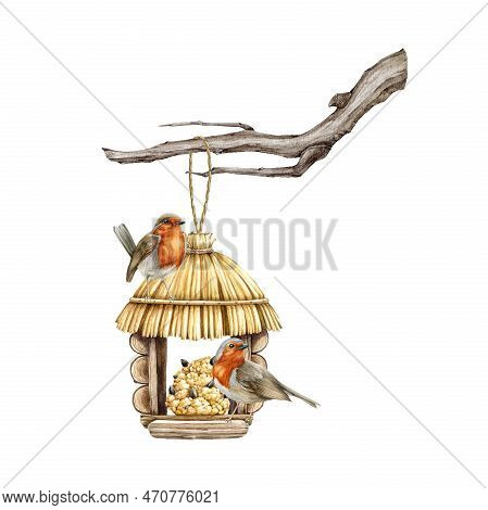 Garden Birds On The Feeder Hang On The Tree Branch. Watercolor Illustration. Cute Small Backyard Rob