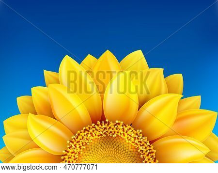 Sunflower And Blue Sky Background. Eps 10 Vector File Included