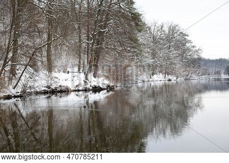 Reflection Of The Trees In The Pond During The Winter.