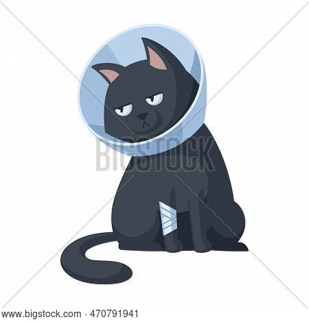 Sad Black Cat With A Bandaged Paw In A Veterinary Cone Collar. Concept Illustration Of Providing Fir