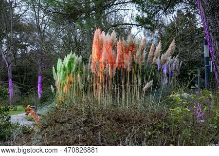 Frankfurt, Germany - December 28, 2022: Colorful Light In Nature At Winterlichter - Engl: Winter Lig