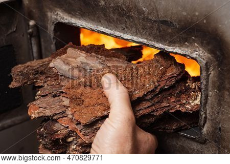 Man Stoker Puts Bark In Boiler To Keep The Fire Burning. Central Heating Of Buildings, Warmth In Win