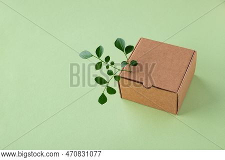 Cardbox From Recyclable Organic Materials With Green Leaves Sprout. Eco Friendly Packaging, Zero Was