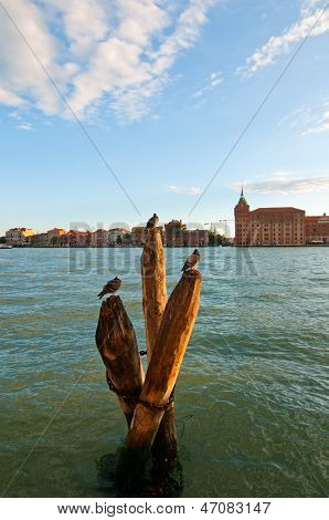 Venice Italy Lagune View With Bricole